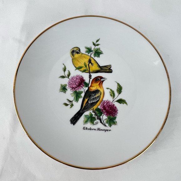 Vintage Bareuther Waldsassen Bavaria Germany Bird Plate Eastern Tanager #212 - Picture 1 of 7